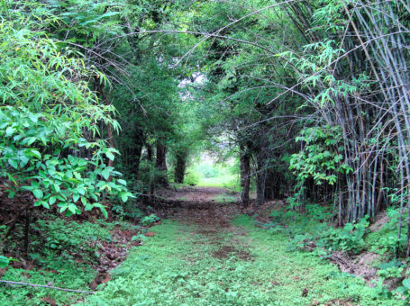 Dumna Nature Park