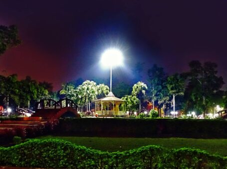 Tagore Garden